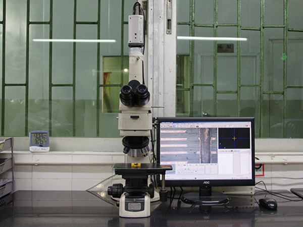 Gold microscope